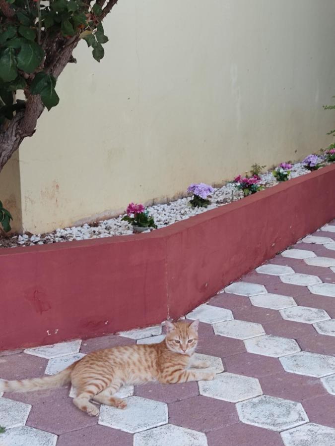 Hotel Takis Agios Georgios  ภายนอก รูปภาพ